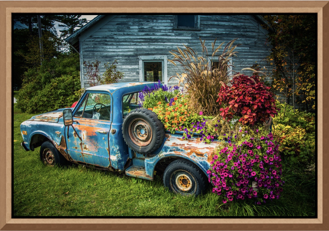Mike Caplan "Flower Bed" Photography