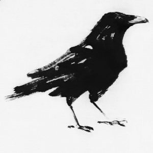 Seth Taylor "Crow" Ink On Paper 24x24 inches