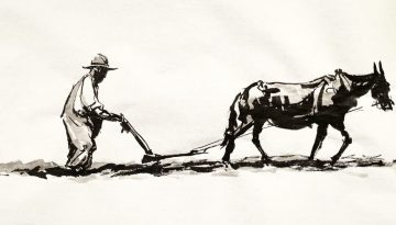 Seth Taylor "The Old Mans Plow" Ink On Paper 50x20 inches