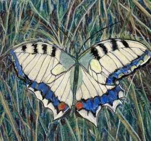 Bonnie Hartmann-Resting Butterfly-Pastel-10x10
