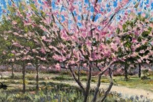 David Ray - Spring Blossoms - Oil - 8 x 10