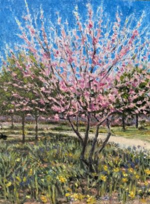 David Ray - Spring Blossoms - Oil - 8 x 10