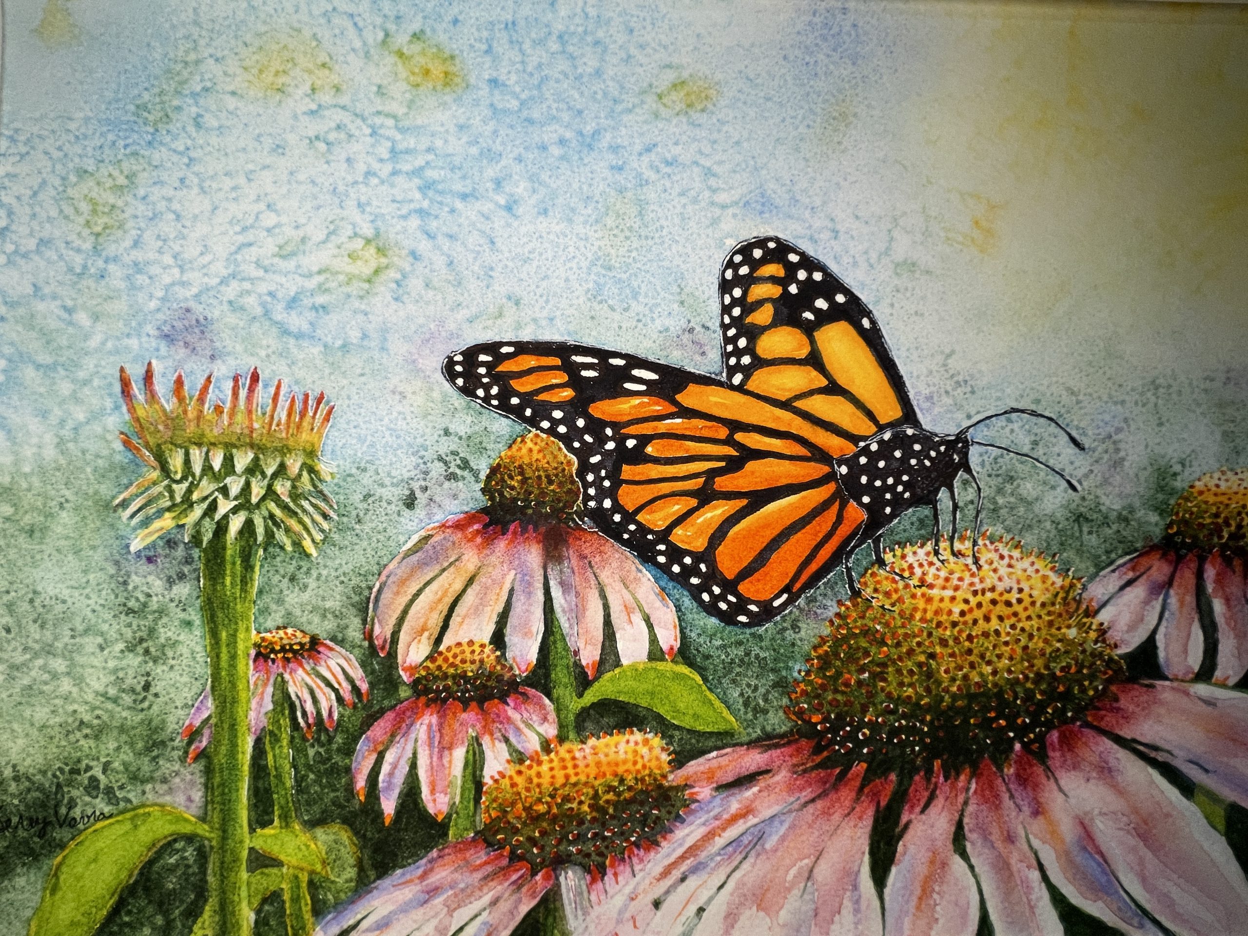 Kerry Vavra- Monarch- Watercolor
