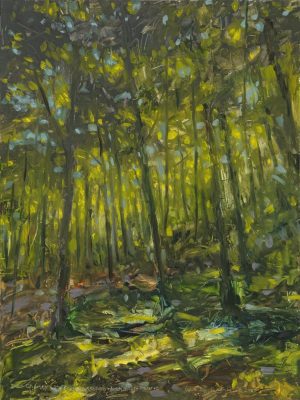 David Ray - Lautenbach Woods Nature Preserve - Oil - 12 x 16 inches