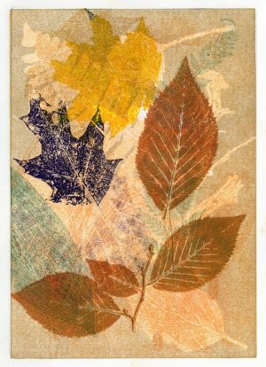 Nancy Aten Image Ironwood 2025