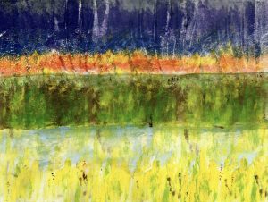 WetlandForestBaySky-DanCollins