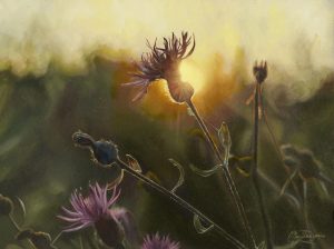 MarissaRenee_Until Tomorrow_Oils_6x8